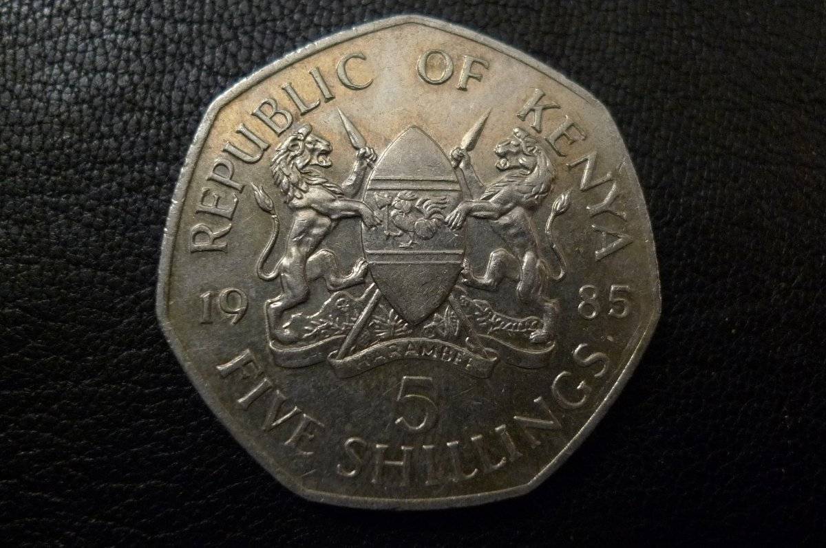 Post-Your-Lion-Coins!