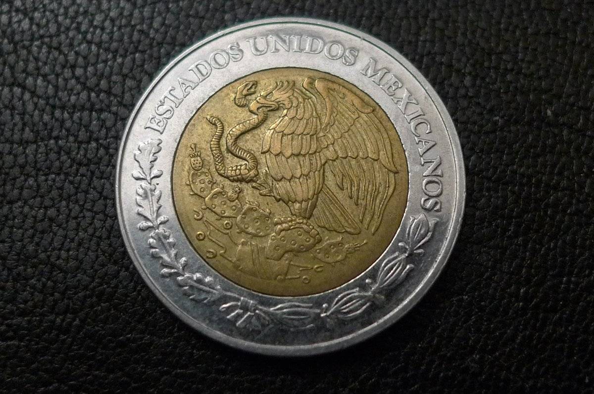 Post-Your-Coins-Representing-The-Animal-Kingdom.