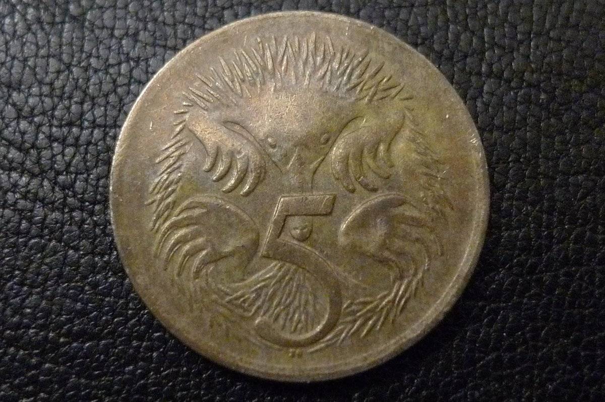 Post-Your-Coins-Representing-The-Animal-Kingdom.
