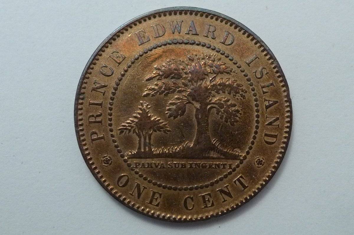 Post-Your-Coins-With-Hats