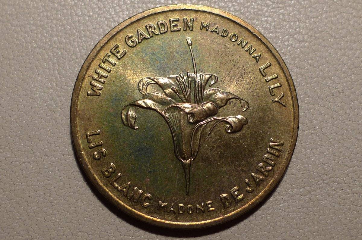 Post-Your-Coins-With-Coats-Of-Arms,-Shields,-Crests,-Crowns,--Etc.