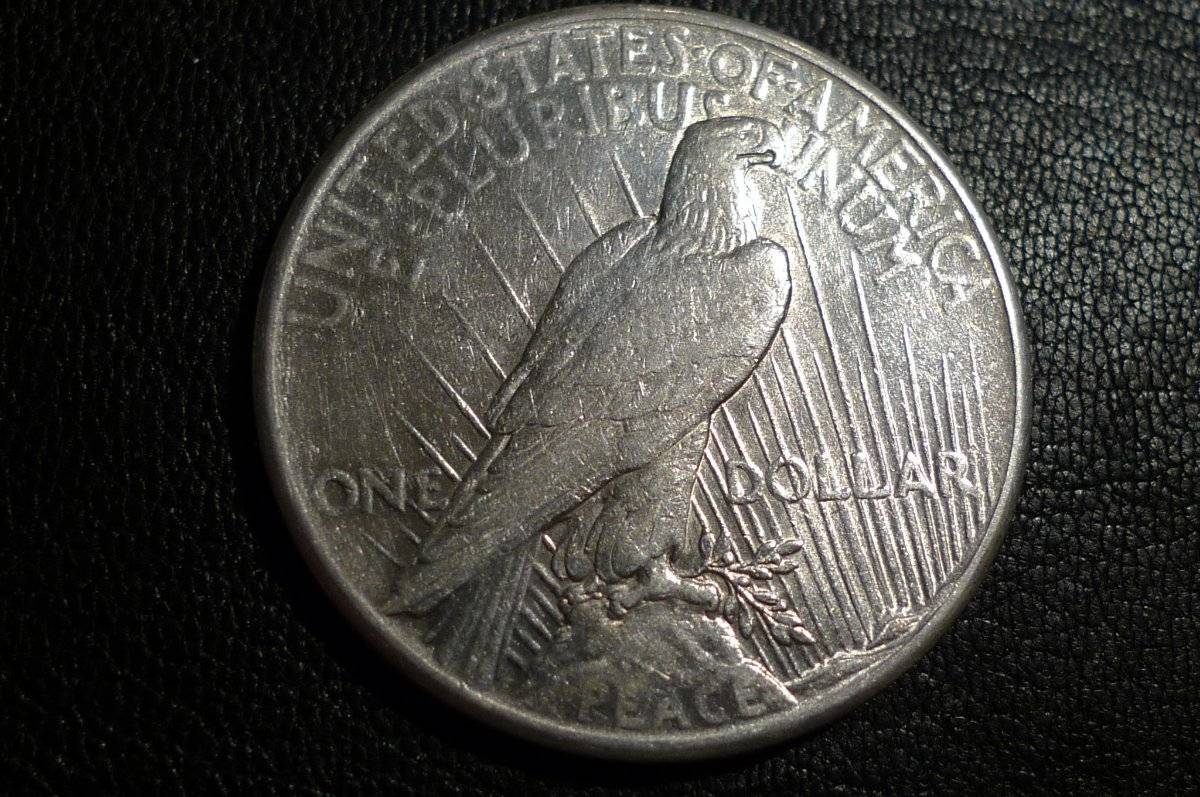 1925-P-Peace-Dollar,-Opinions-Please.