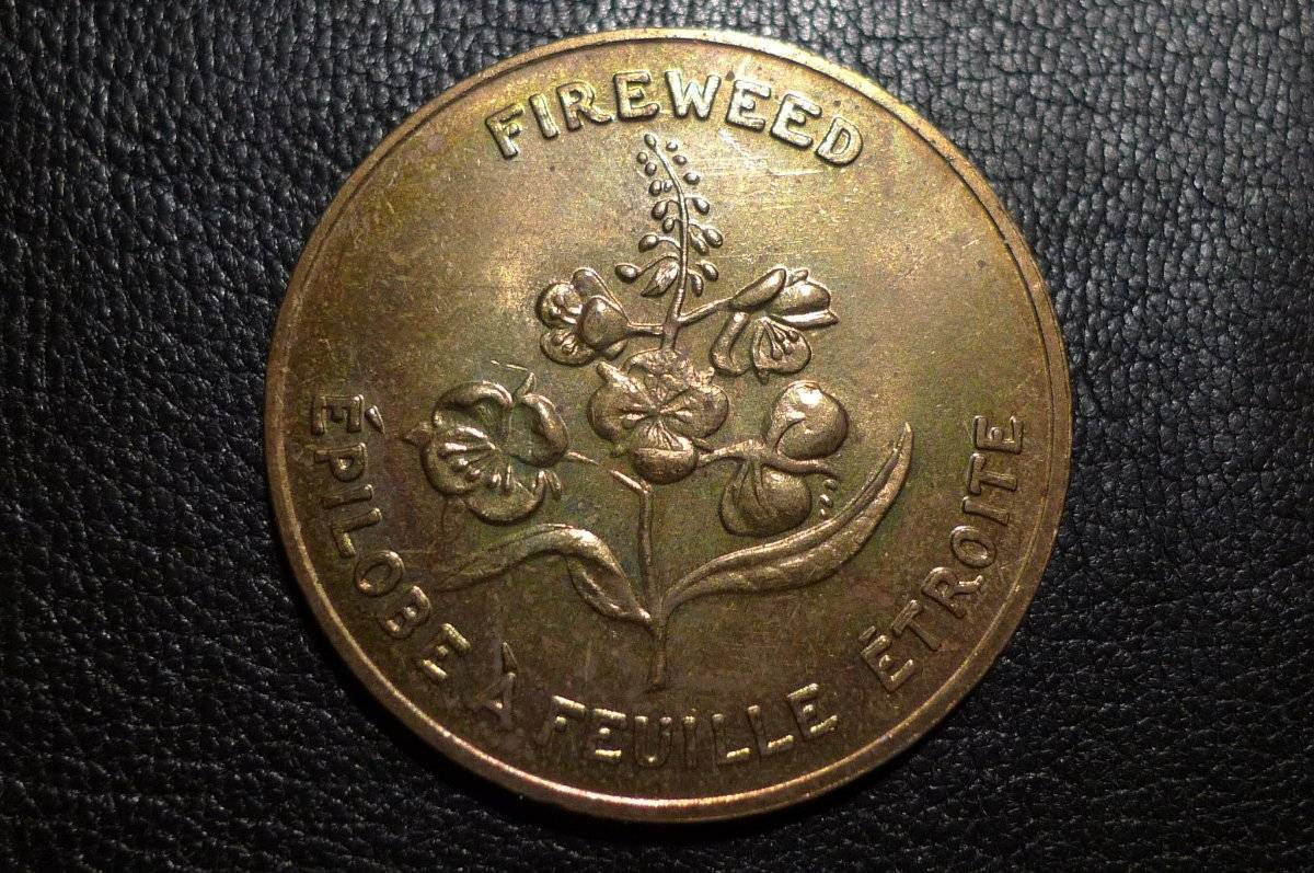 Post-Your-Coins-Representing-The-Animal-Kingdom.