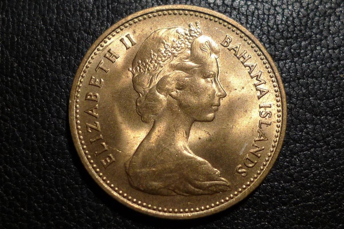 Post-Your-Coins-Representing-The-Animal-Kingdom.