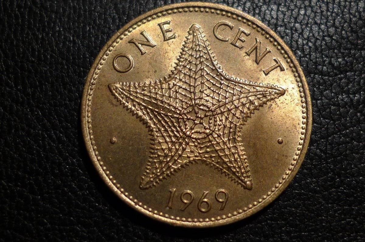 Post-Your-Coins-Representing-The-Animal-Kingdom.