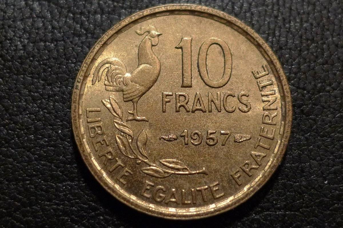 Post-Your-Coins-Representing-The-Animal-Kingdom.