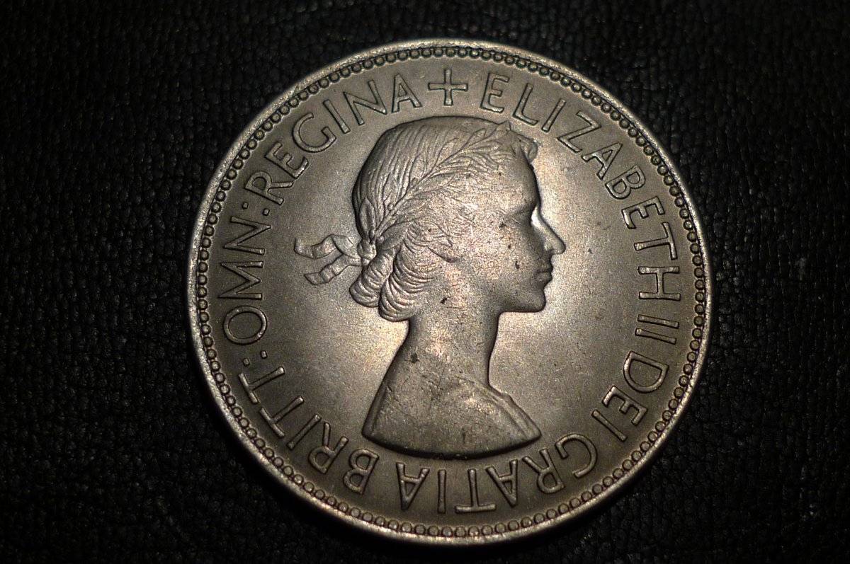 Post-Your-Lion-Coins!