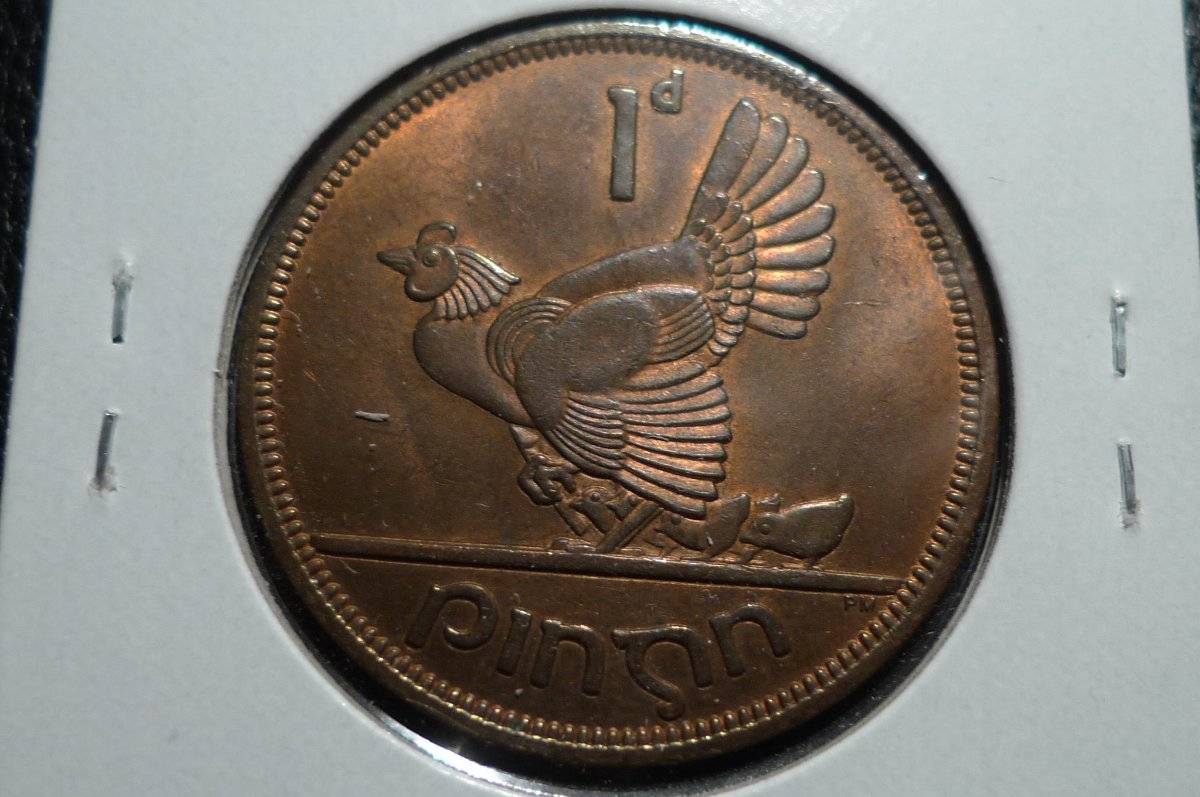 Post-Your-Coins-Representing-The-Animal-Kingdom.