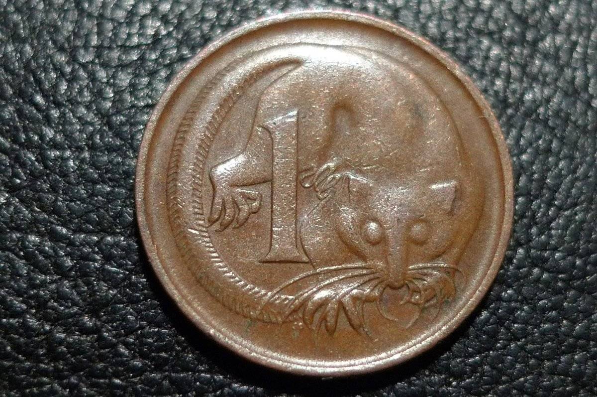 Post-Your-Coins-Representing-The-Animal-Kingdom.