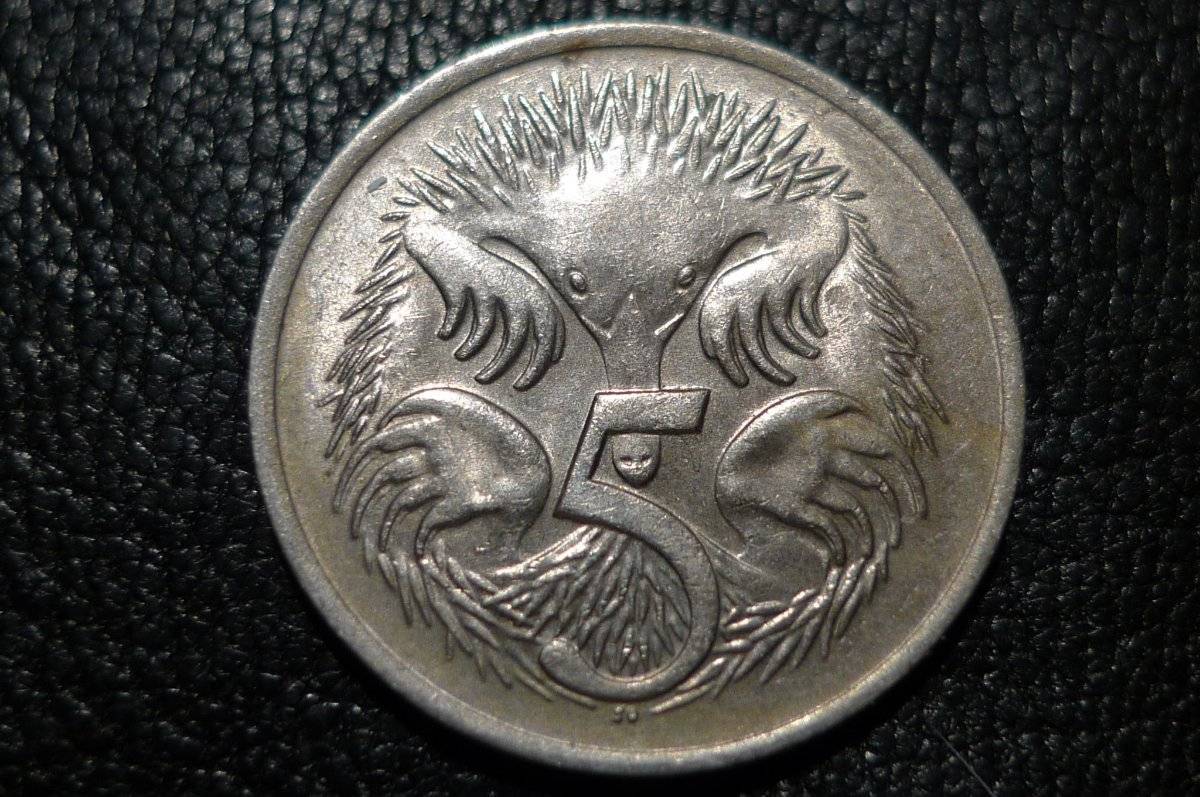 Post-Your-Coins-Representing-The-Animal-Kingdom.