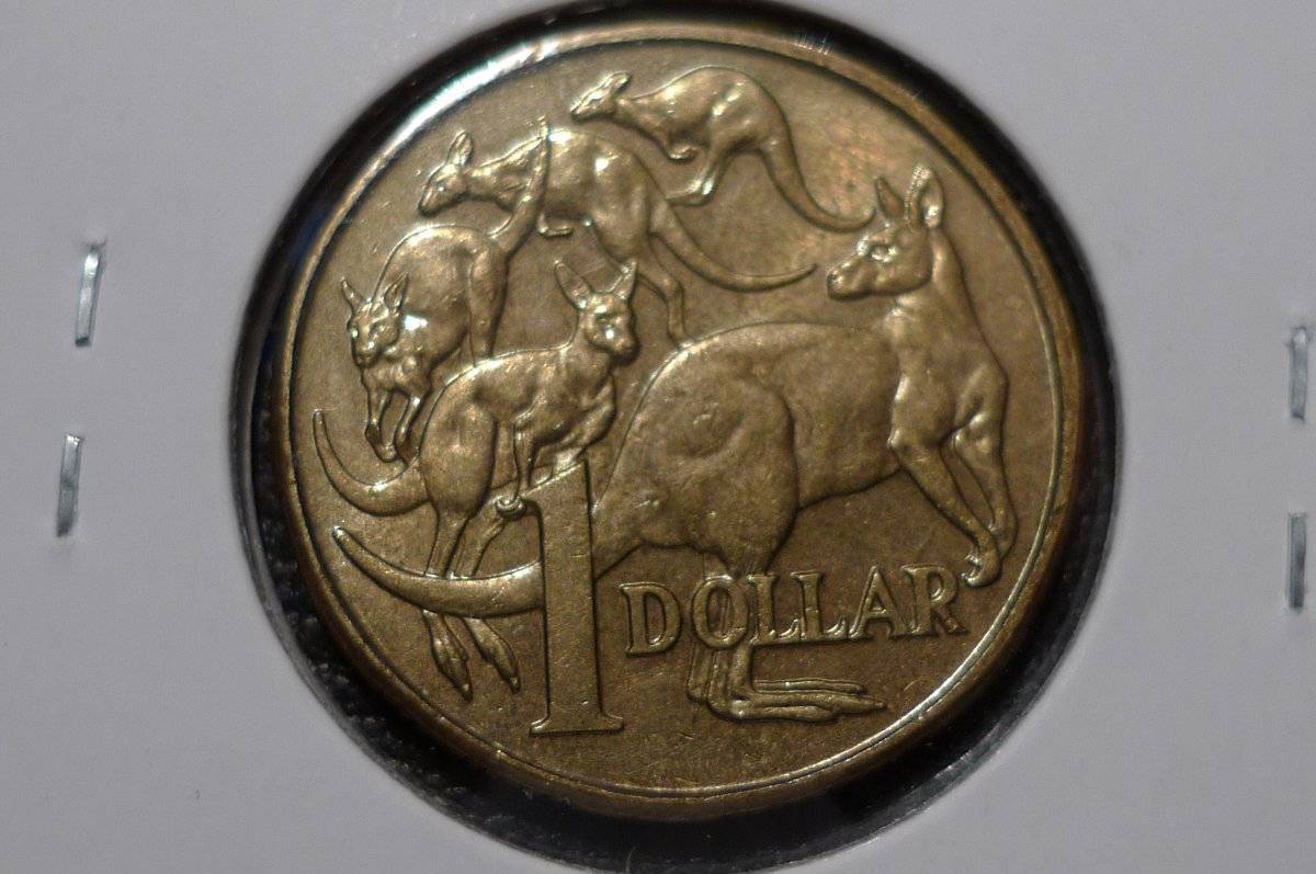 Australian-1984-Possible-Cud-Error