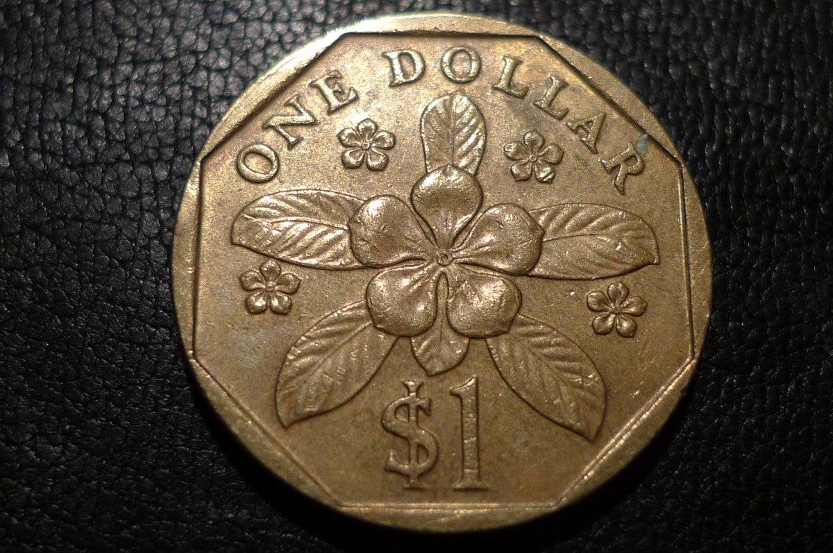 Post-Your-Coins-Representing-The-Animal-Kingdom.