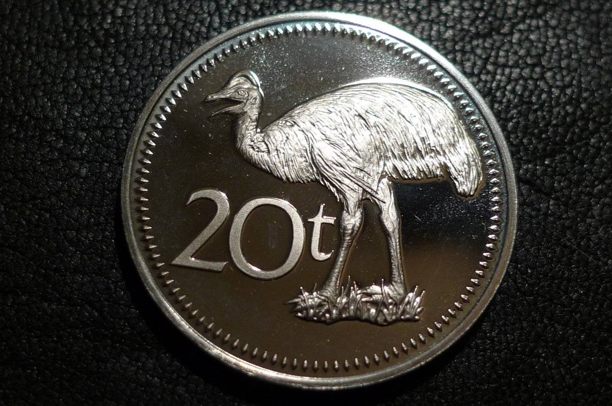 Post-Your-Coins-Representing-The-Animal-Kingdom.