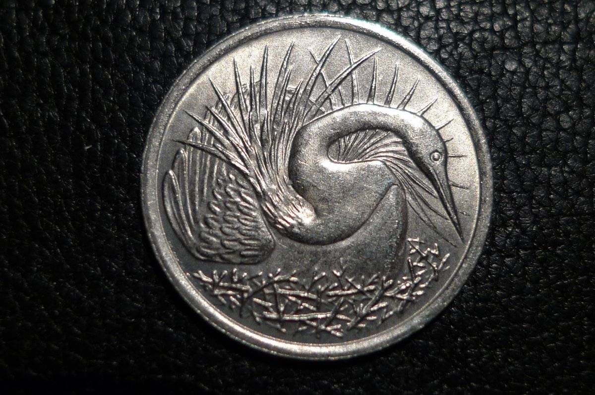 Post-Your-Coins-Representing-The-Animal-Kingdom.