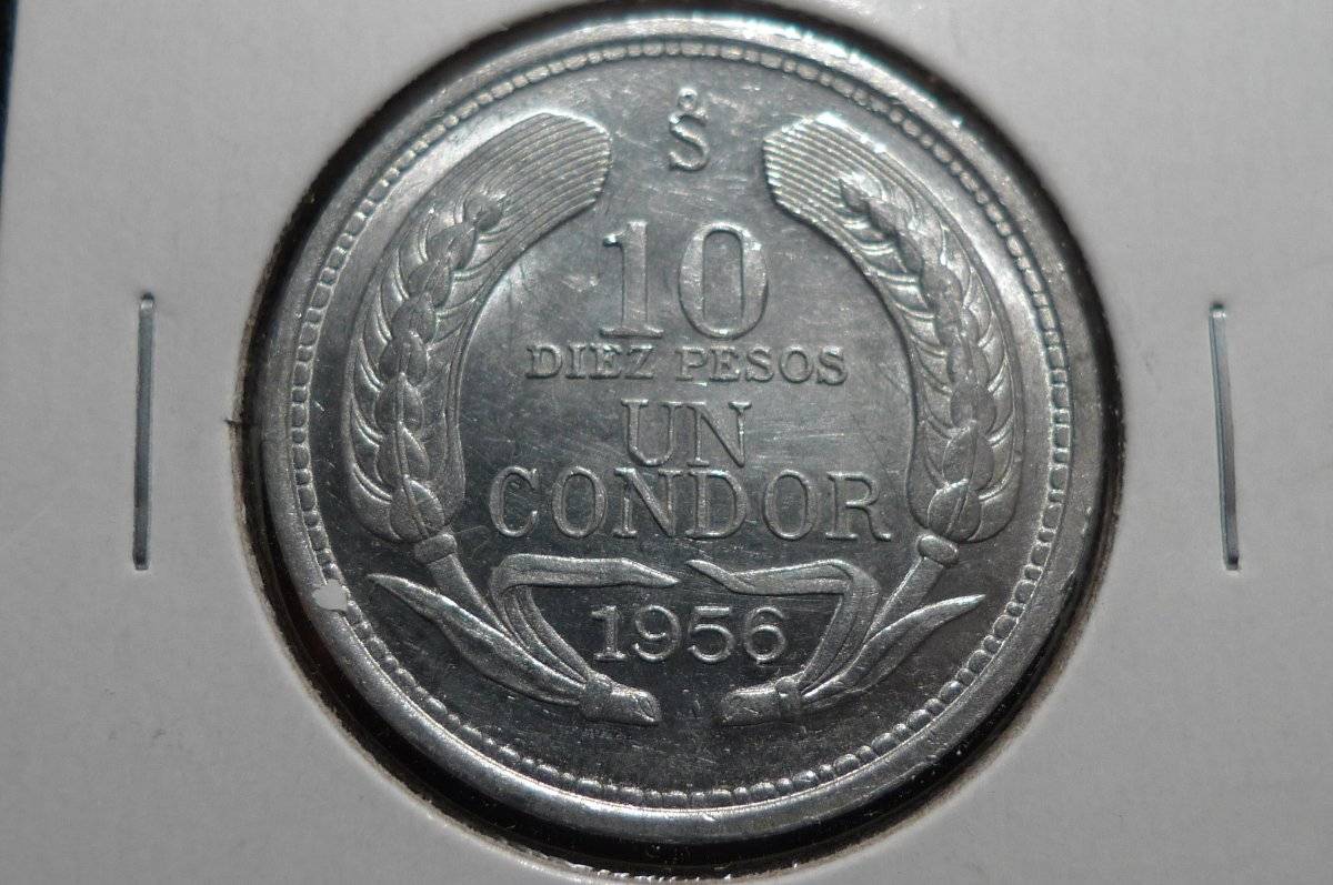 Post-Your-Coins-Representing-The-Animal-Kingdom.