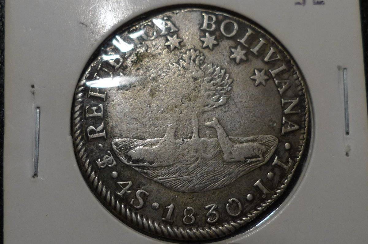 Post-Your-Coins-Representing-The-Animal-Kingdom.