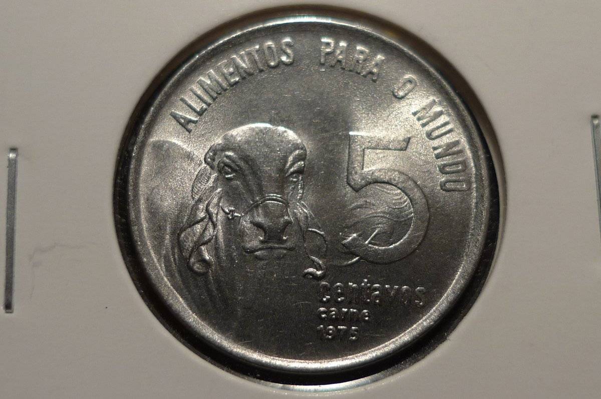 Post-Your-Coins-Representing-The-Animal-Kingdom.