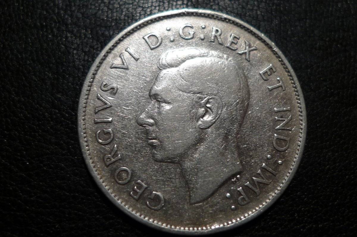 Post-Your-Coins-With-Horses