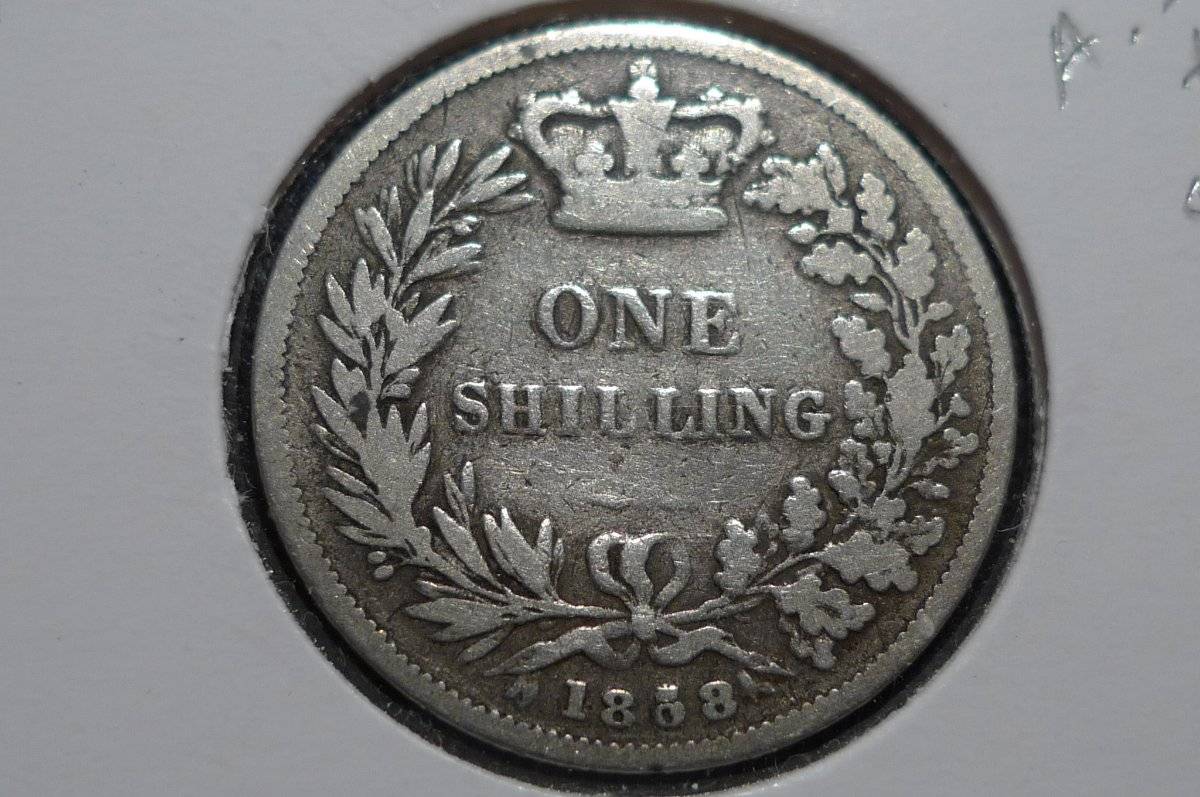 Continuing-List-To-Show-Everyones-Latest-Acquisitions