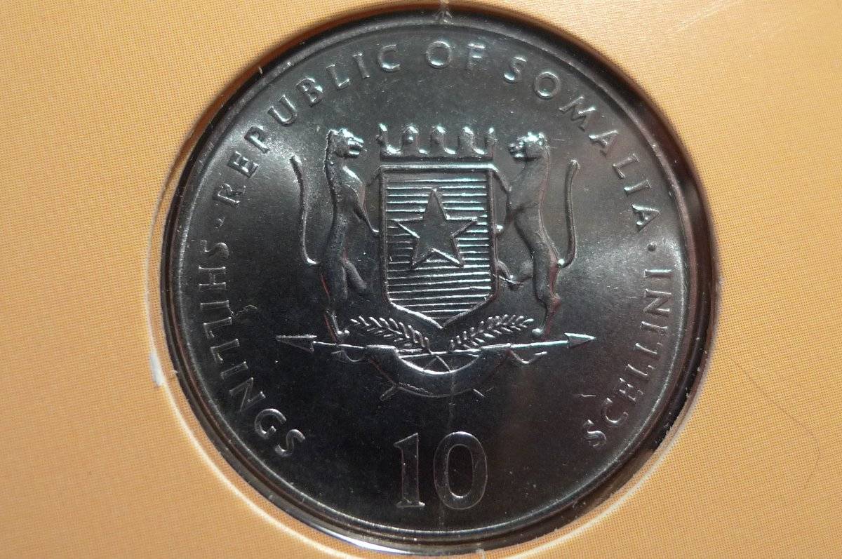 Post-Your-Coins-Representing-The-Animal-Kingdom.