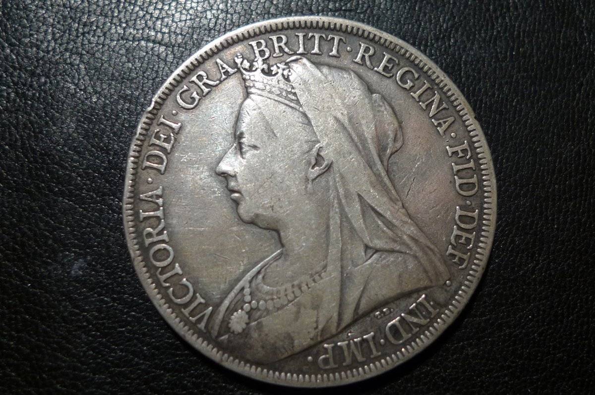 Post-Your-Coins-Representing-The-Animal-Kingdom.