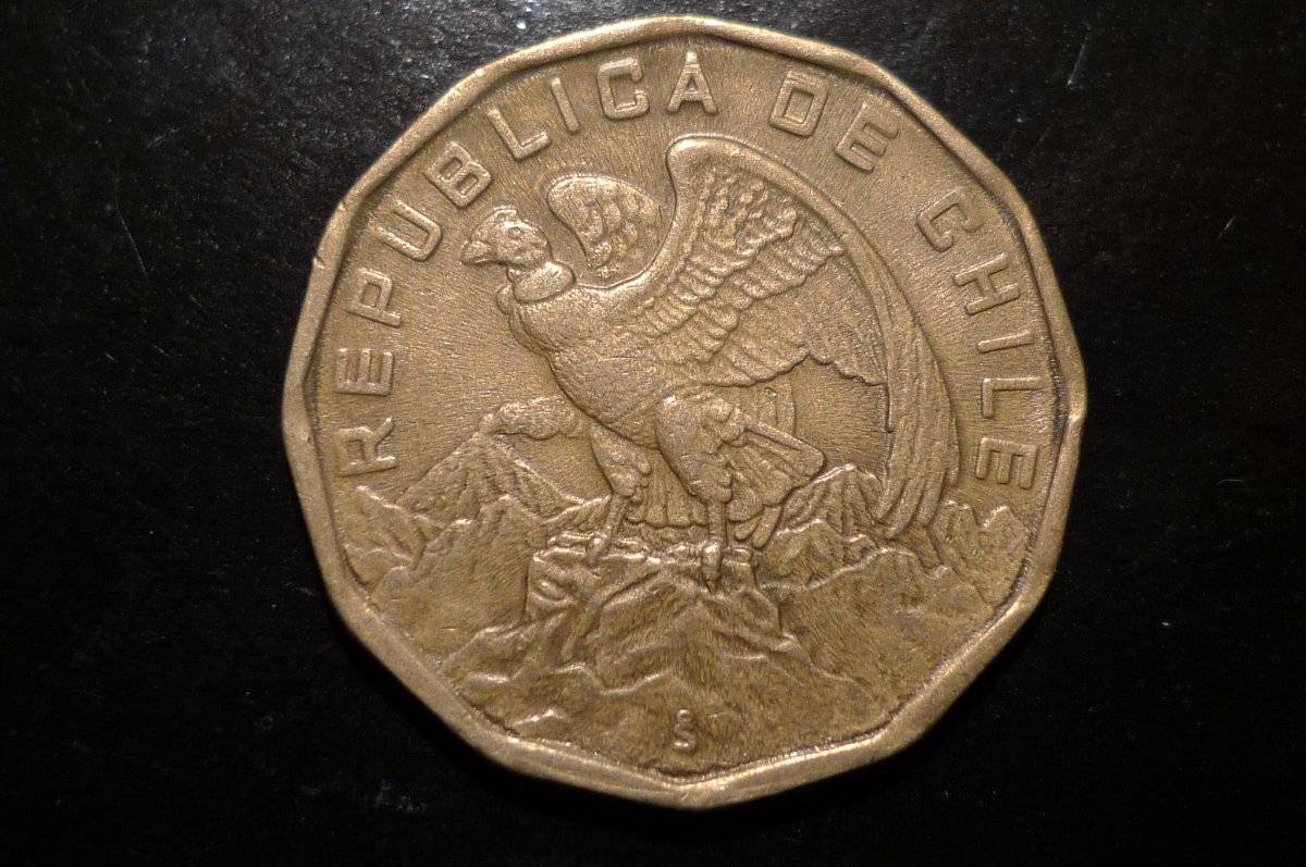 Post-Your-Coins-Representing-The-Animal-Kingdom.