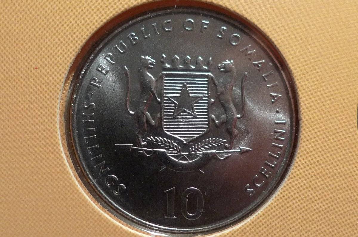 Post-Your-Coins-Representing-The-Animal-Kingdom.