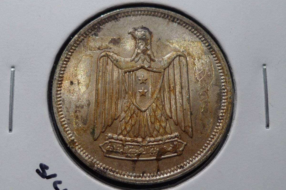 Continuing-List-To-Show-Everyones-Latest-Acquisitions