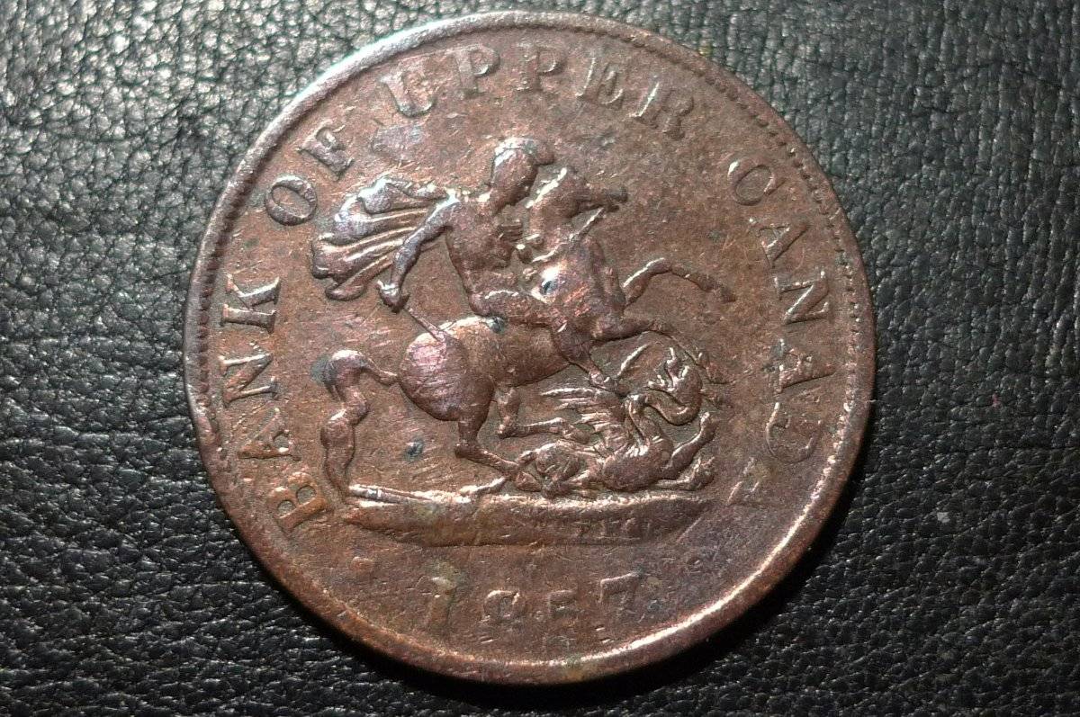 Post-Your-Coins-Representing-The-Animal-Kingdom.