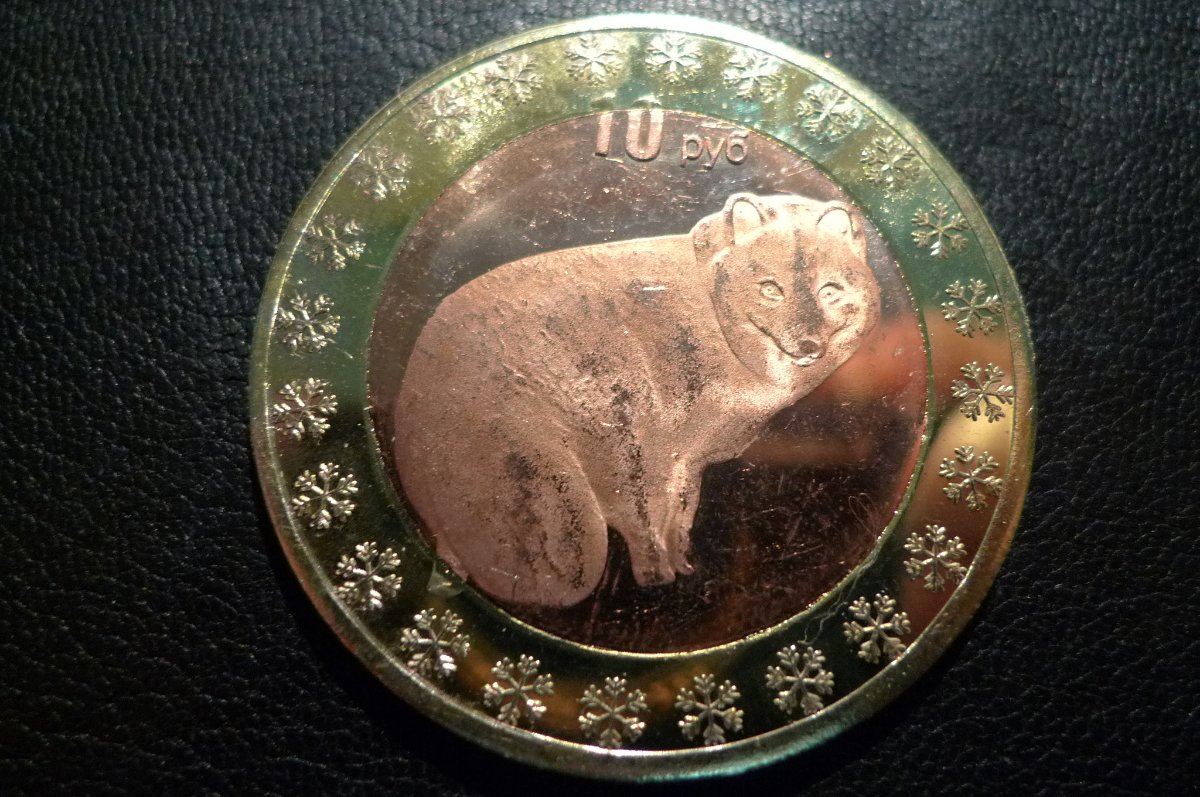 Post-Your-Coins-Representing-The-Animal-Kingdom.
