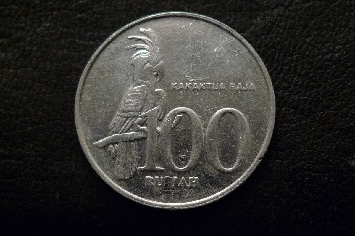 Post-Your-Coins-Representing-The-Animal-Kingdom.