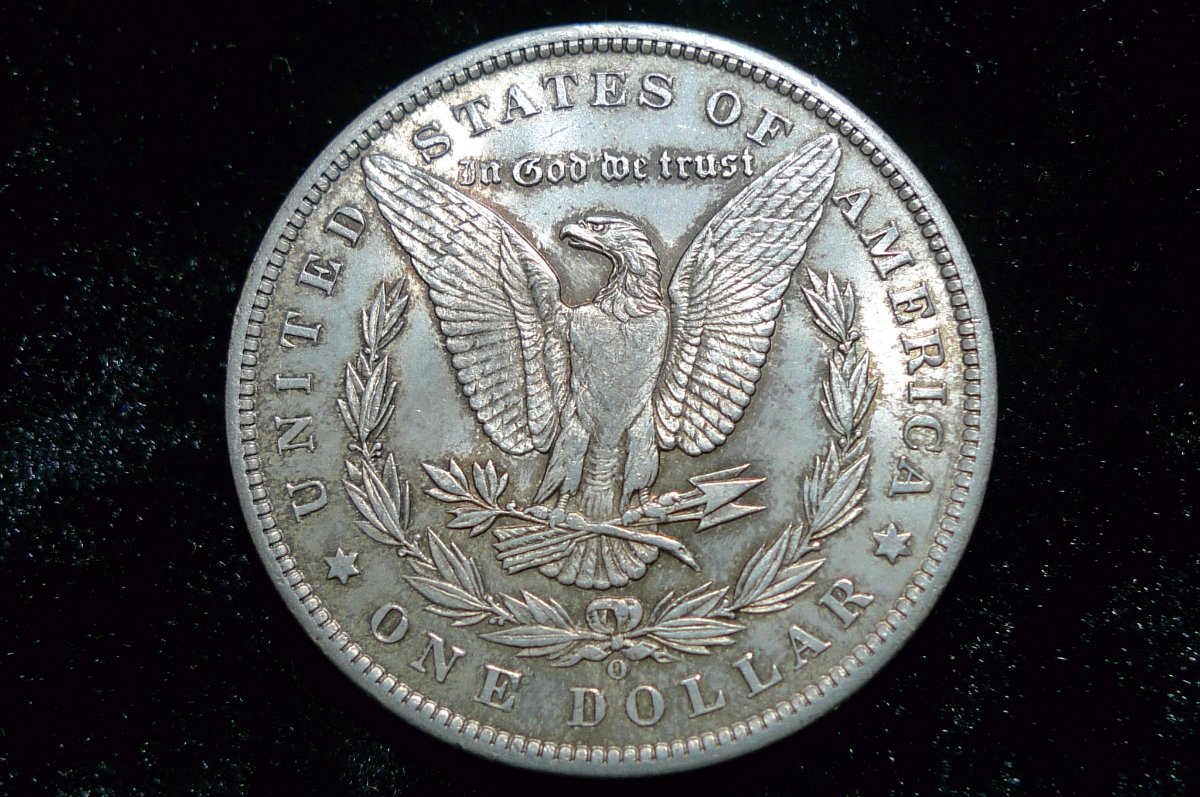 Post-Your-Coins-Representing-The-Animal-Kingdom.
