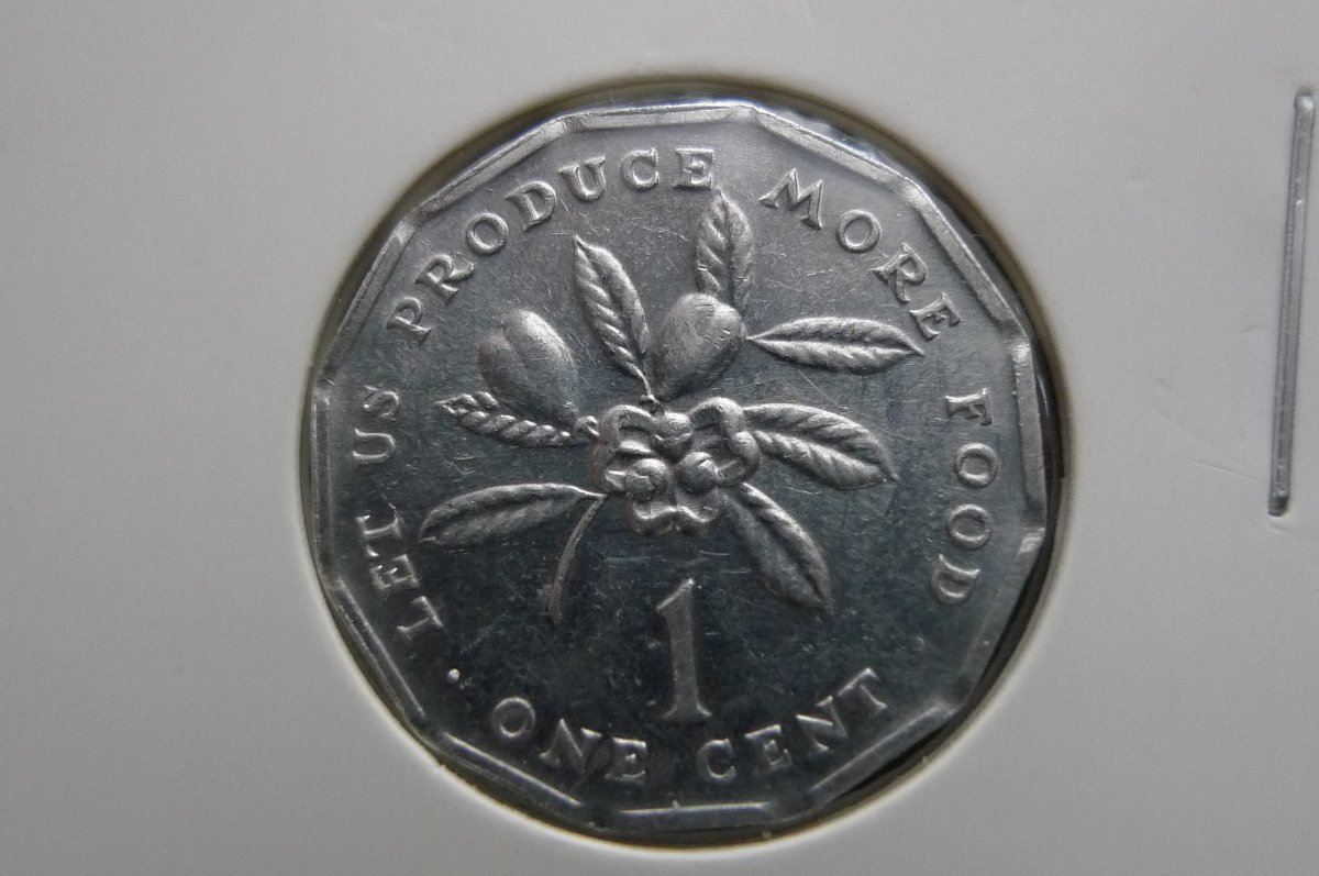 Show-Your-Coins-With-Different-Edges