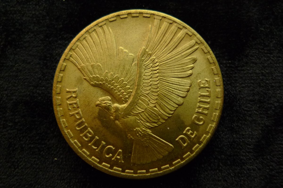 Post-Your-Coins-Representing-The-Animal-Kingdom.
