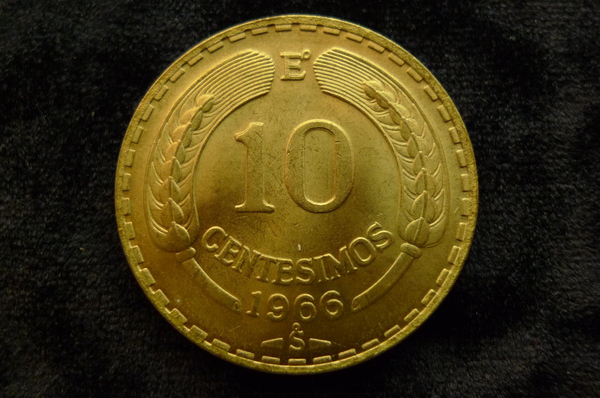 Post-Your-Coins-Representing-The-Animal-Kingdom.