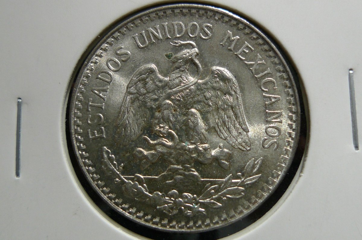 Post-Your-Coins-Representing-The-Animal-Kingdom.