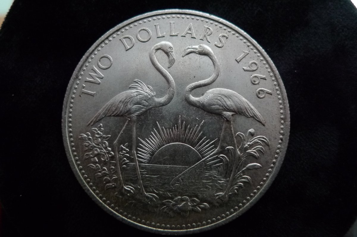 Post-Your-Sun-Face,-Sunrise,-Or-Sunset-Coins!