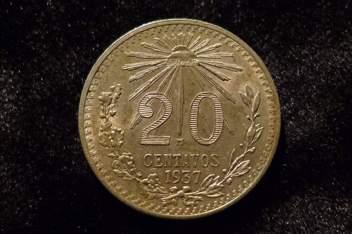 Post-Your-Coins-Representing-The-Animal-Kingdom.