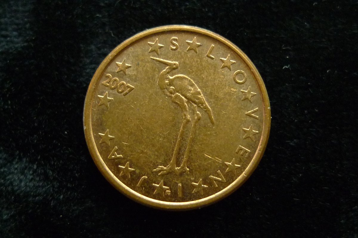 Post-Your-Coins-Representing-The-Animal-Kingdom.