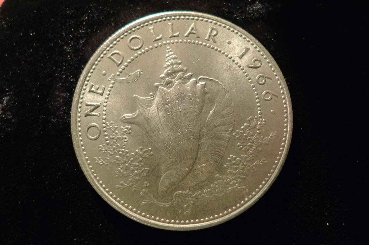 Post-Your-Coins-Representing-The-Animal-Kingdom.