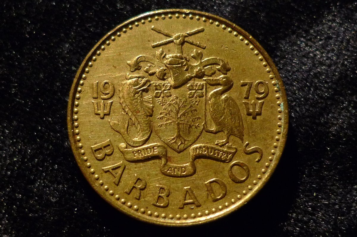 Post-Your-Sun-Face,-Sunrise,-Or-Sunset-Coins!