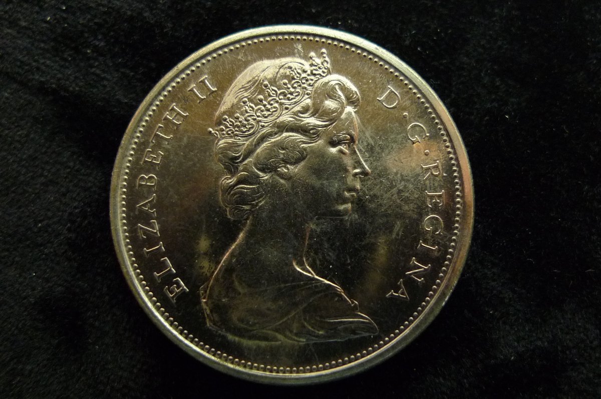 Post-Your-Coins-Representing-The-Animal-Kingdom.