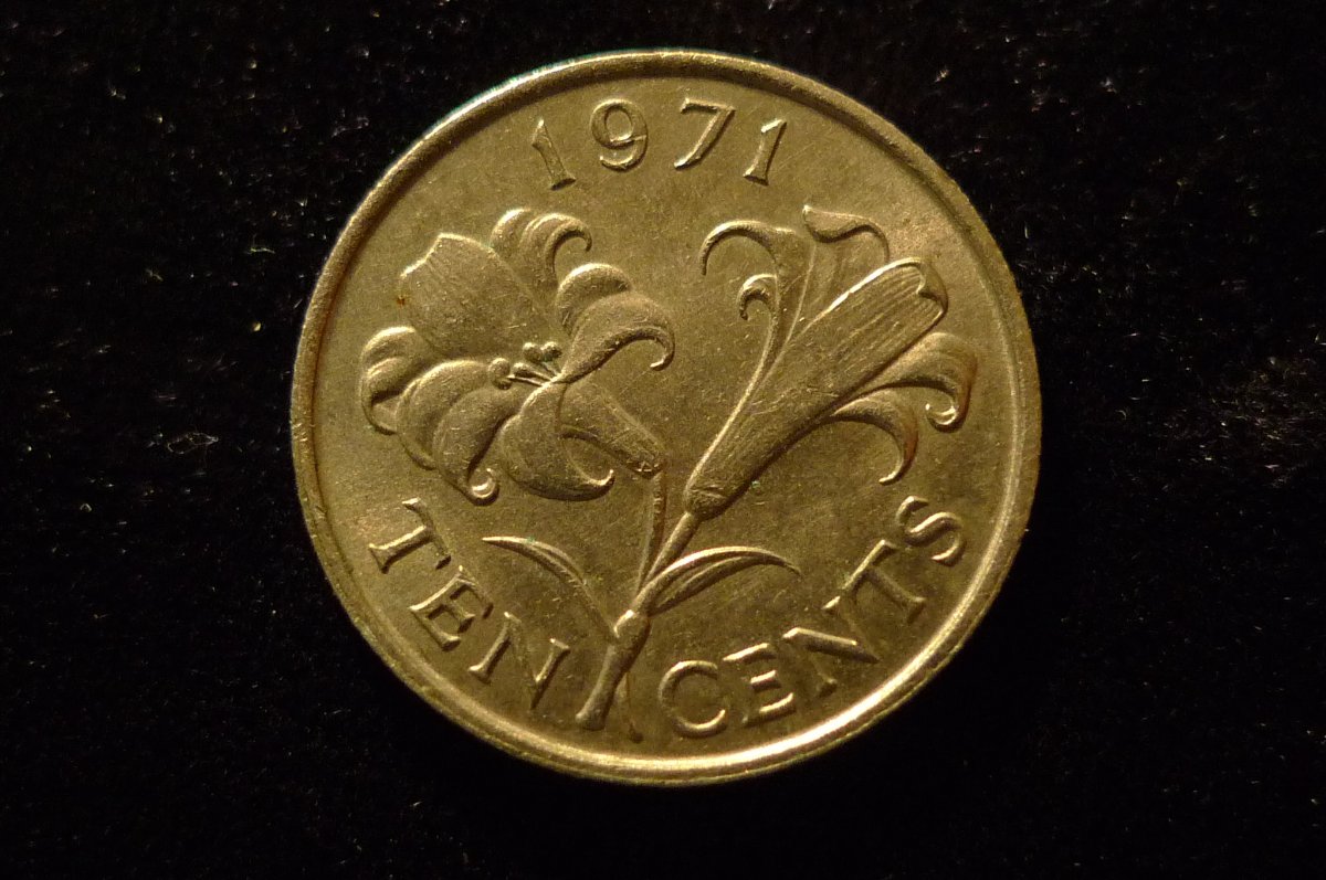 Post-Your-Coin-Or-Medal-With-Flora