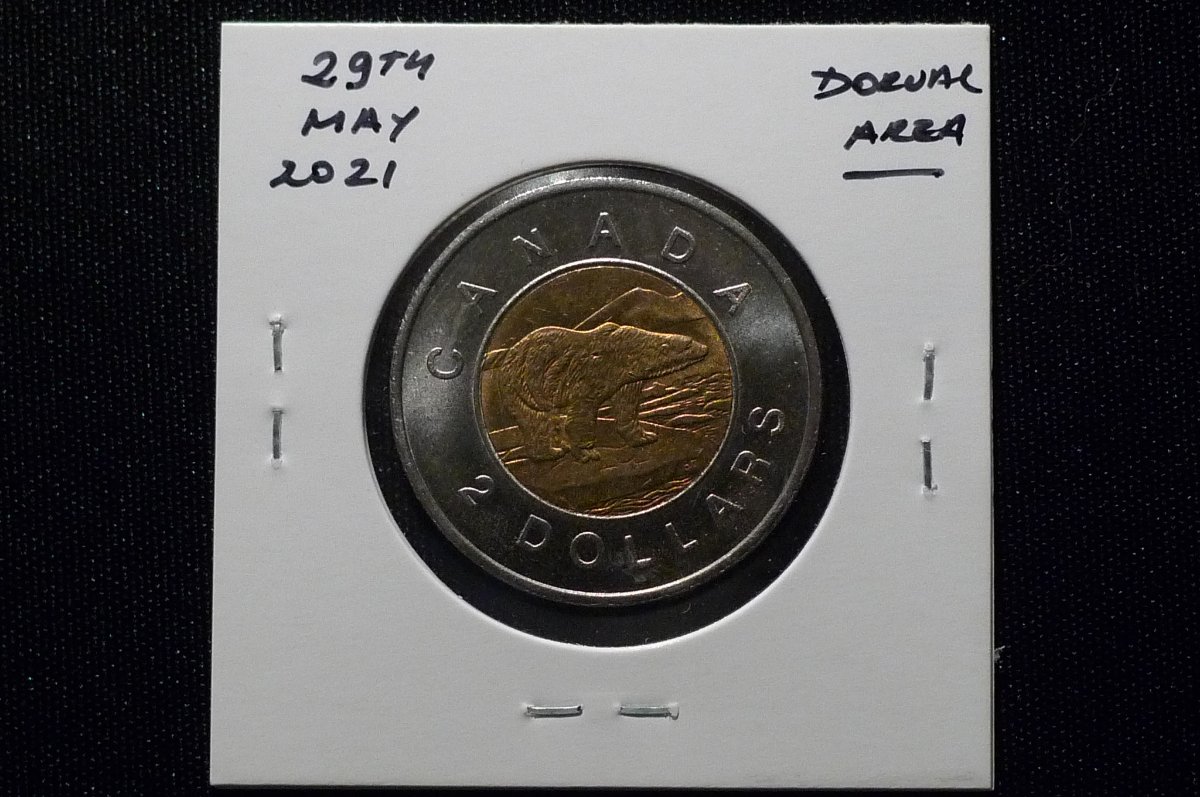 Post-Your-Counterfeit-Coins-Here-Educational-Thread