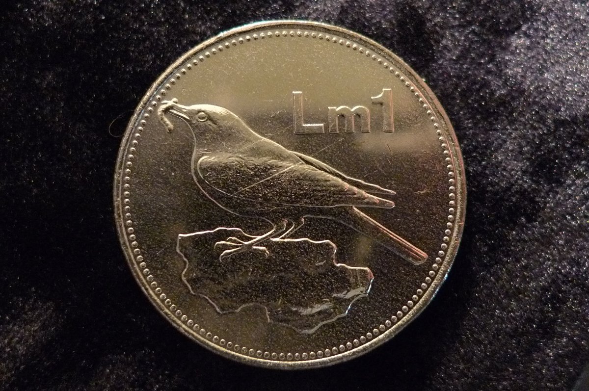 Show-Your-Coins-With-Different-Edges