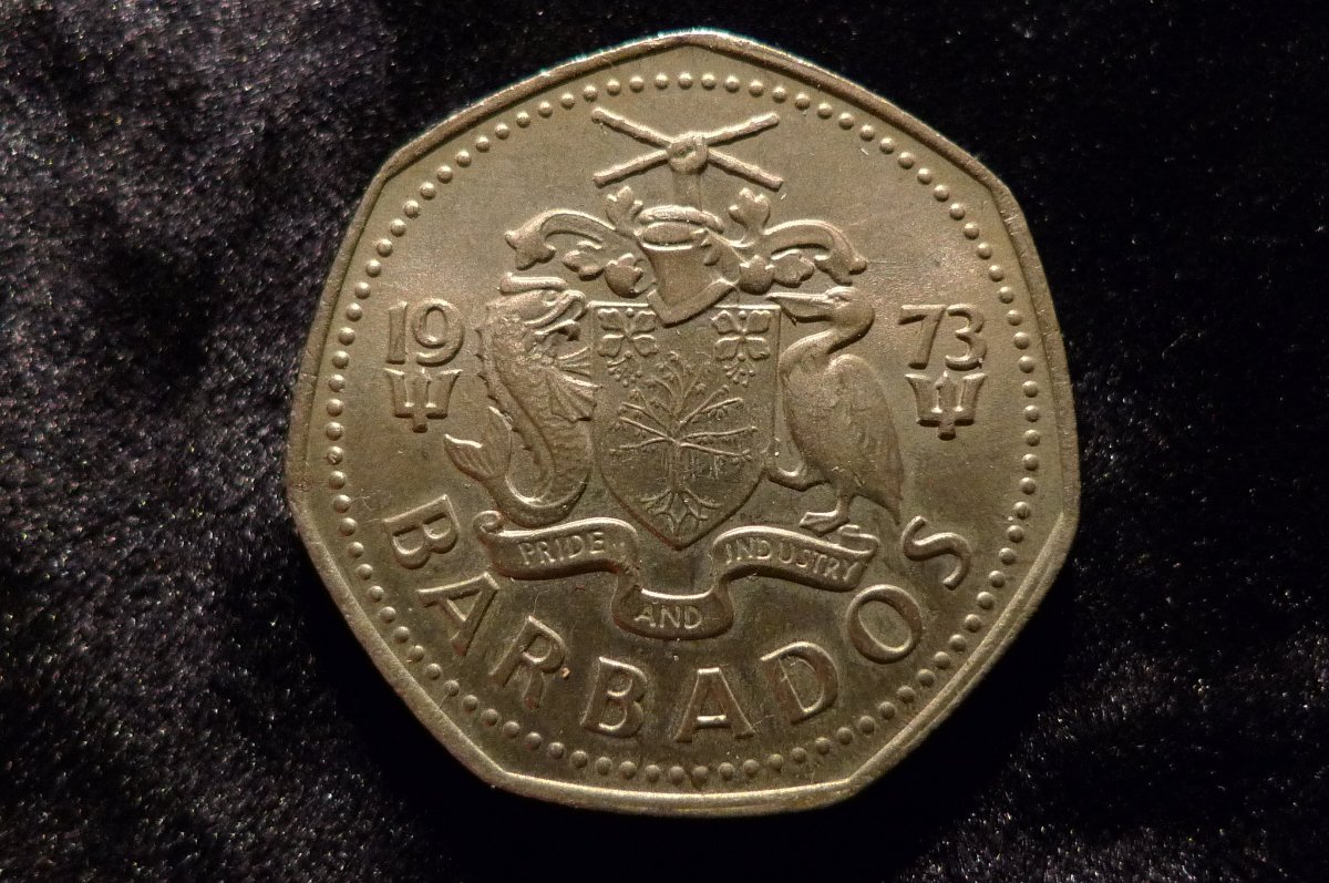 Show-Your-Coins-With-Different-Edges