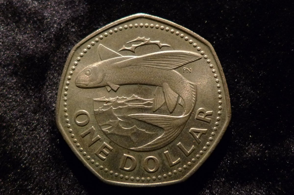 Show-Your-Coins-With-Different-Edges