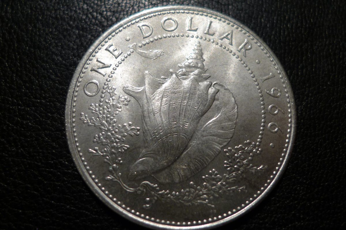 Post-Your-Coin-/-Medal-/-Bank-Note-With-A-Shell