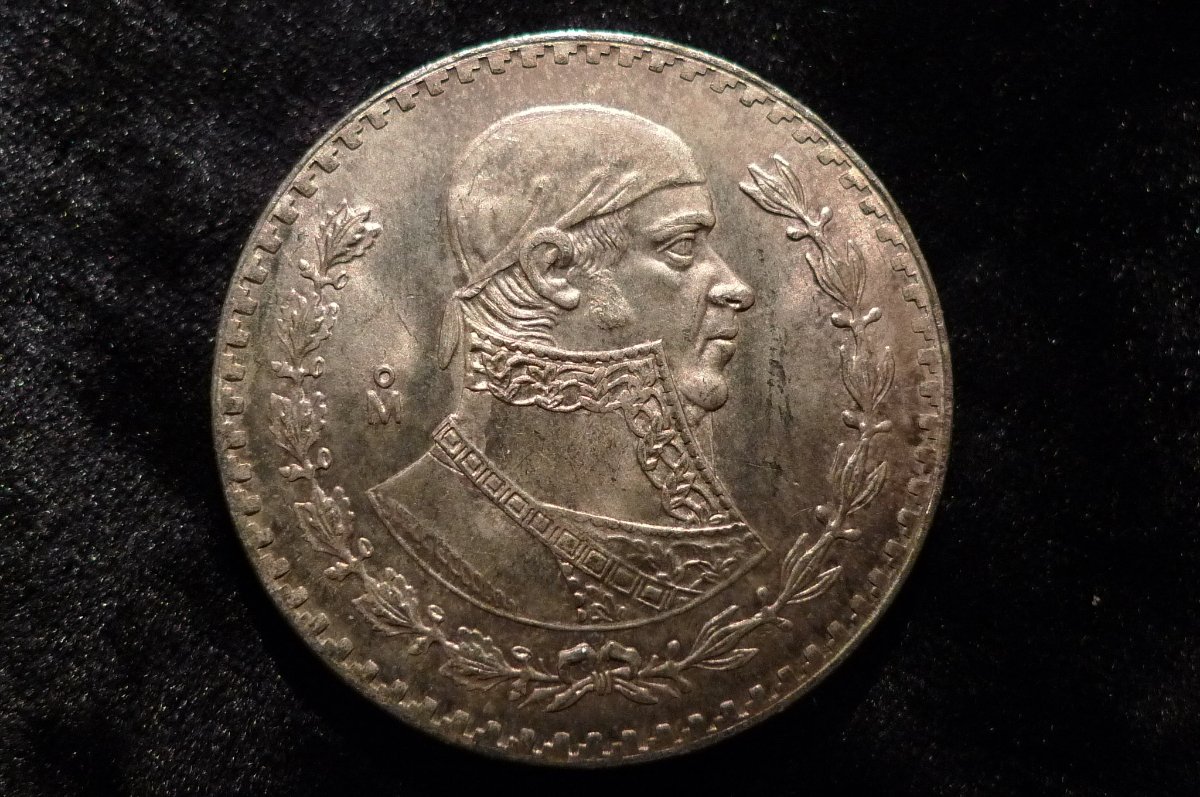 Continuing-List-To-Show-Everyones-Latest-Acquisitions