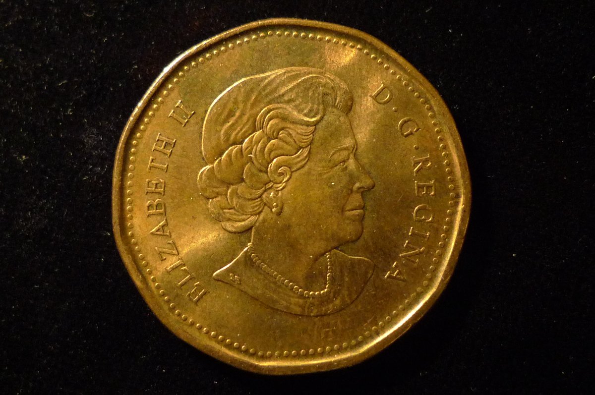 Post-Your-Coins-Representing-The-Animal-Kingdom.